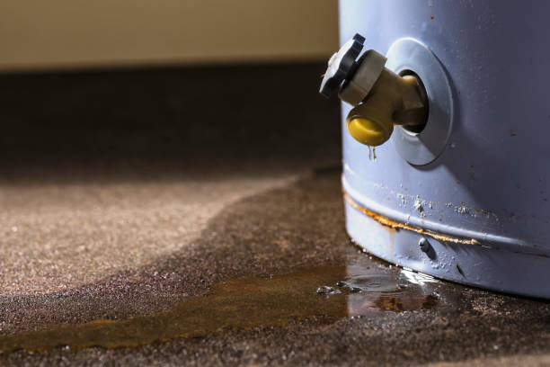 Best Residential water damage restoration  in East Helena, MT