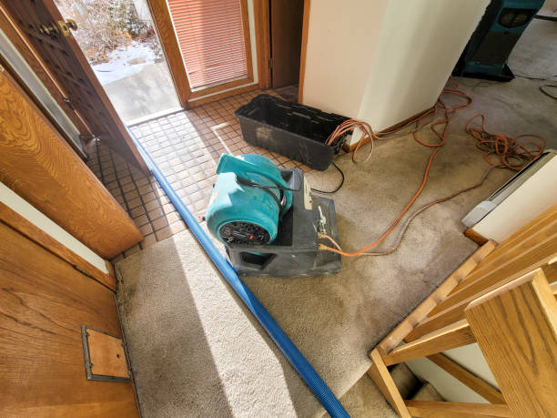Best Water damage restoration near me  in East Helena, MT