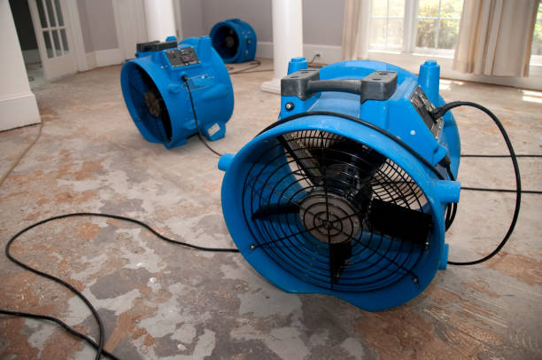 Best Basement water damage restoration  in East Helena, MT