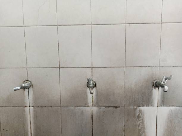 Trusted East Helena, MT Water damage restoration Experts