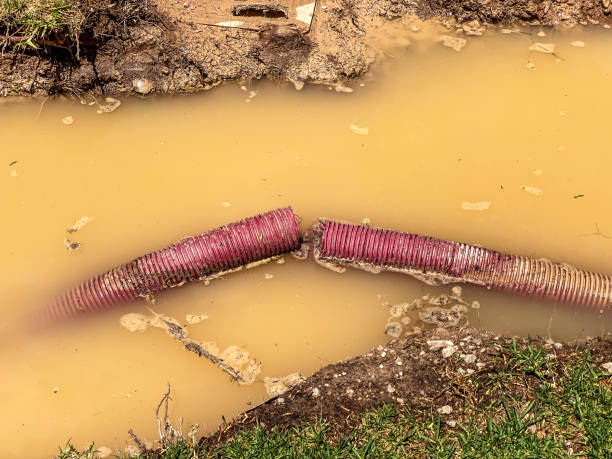 Best Commercial water damage restoration  in East Helena, MT